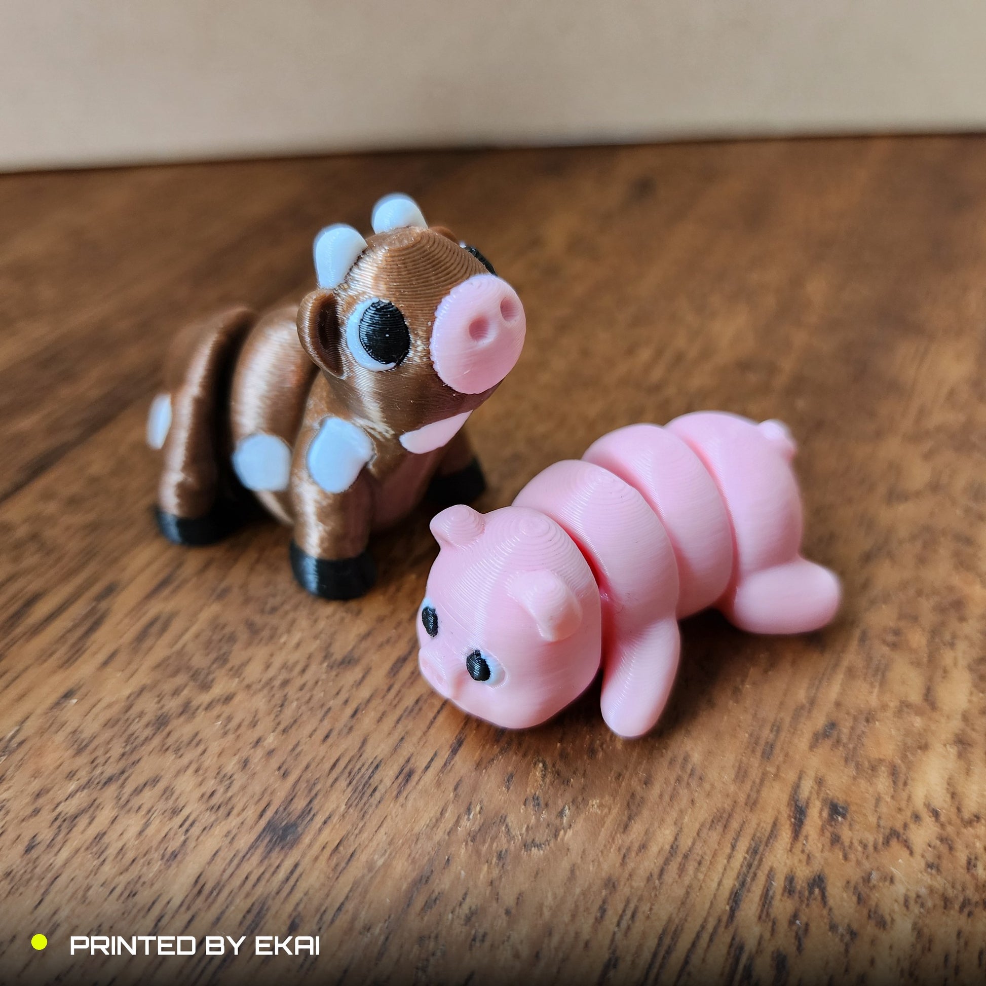 Customer print by Ekai
